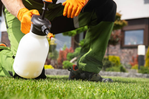 Best Spider Control Near Me  in Bradenton, FL