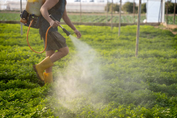 Best Commercial Pest Control Services  in Bradenton, FL