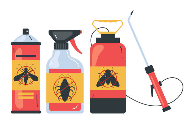 Best Termite Control Services  in Bradenton, FL