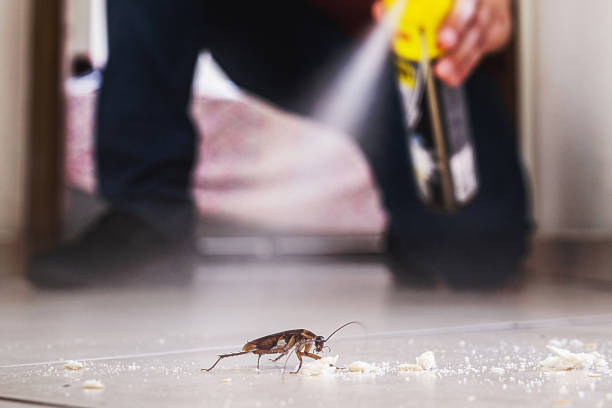 Best Insect Control  in Bradenton, FL