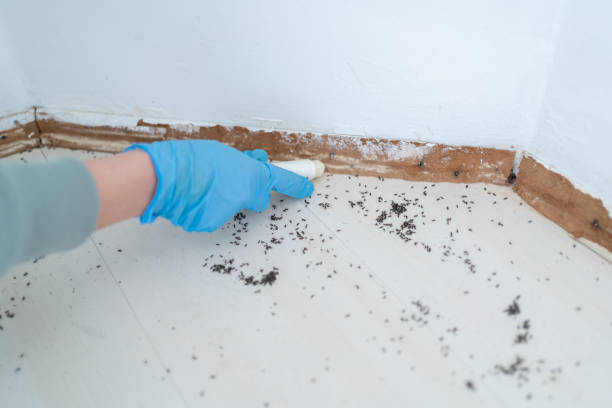 Best Pest Prevention Services  in Bradenton, FL